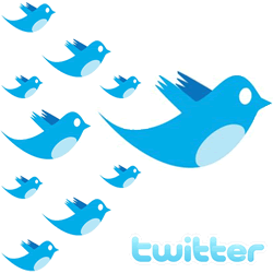 Sobre conseguir seguidores en twitter